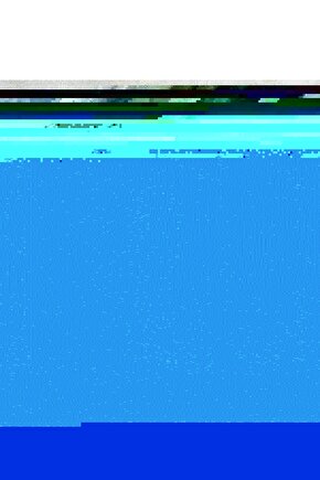 Orman Temalı Duvar Dekoru