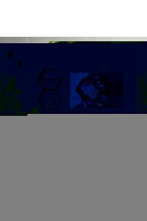 Bubble Tavşan Post Yumuşacık Tavşan Tüyü Kaymaz Yıkanabilir Antrasit