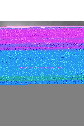 Antrasit Yıkanabilir Yolluk Kaymaz Taban Uzun Tüylü Yumuşak Halı Kaymaz Tüylenmez