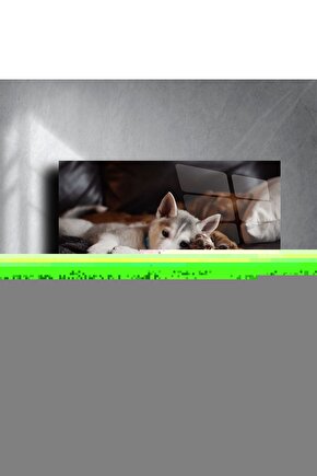 Peluş Halı Beyaz Sa-91