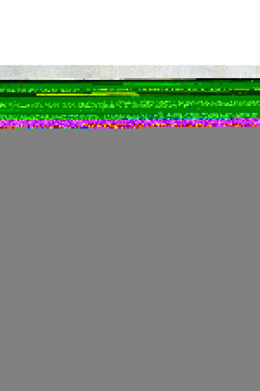 Erkek %100 Yün Uzun Kol Fanila Atlet İçlik 1002E - 2 Adet