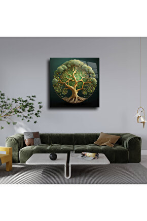 Kadın Bato Bikini Külot 652 - 12 Adet