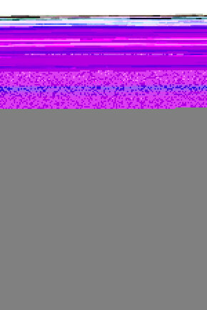 Venom The Last Dance (2024) 001 AFİŞ - POSTER