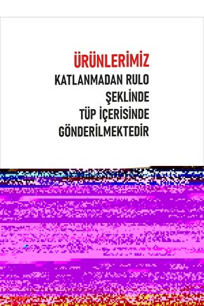 MDB Kadın Uzun Kollu önden Fermuarlı Kısa şardonlu Dalgıç Ceket