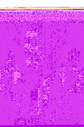 Kadın Uzun Kollu Dantelli Kapşonlu Viskon Iki Iplik Bluz