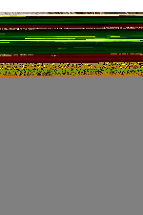 Güz Mevsimi Digital Art ( ÇERÇEVESİZ - ÇERÇEVE YOKTUR ) ( ULTRA HD ) FOLYO AFİŞ - POSTER