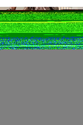 The Lord of the Rings The War of the Rohirrim 2024 3 POSTER AFİŞ