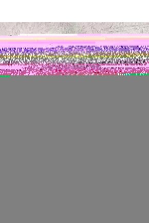 The Notebook (2004) 2 AFİŞ - POSTER ( FOLYO ) - AFİŞ - POSTER-7680