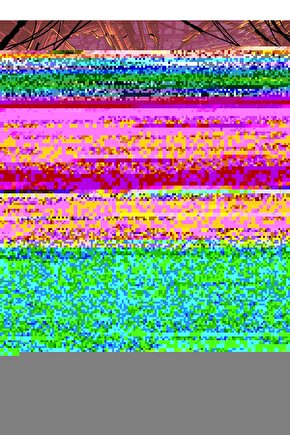 Unisex Göğüs Fermuarlı Baskılı T-Shirt - Siyah