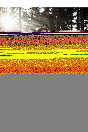 Sonic the Hedgehog (2020) 0003 AFİŞ - POSTER ( FOLYO ) - AFİŞ - POSTER-5829