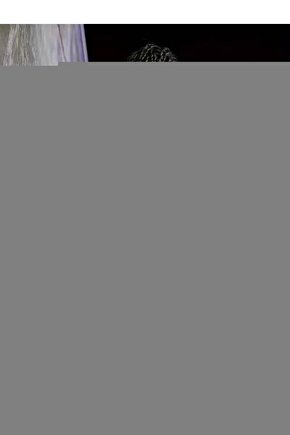 Rocky (1976) AFİŞ - POSTER ( FOLYO ) - AFİŞ - POSTER-5502