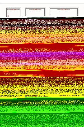 Unisex Oversize Baskılı Bisiklet Yaka T-Shirt - Bej