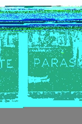 Parasite (2019) 1 ( FOLYO ) - AFİŞ - POSTER-4980