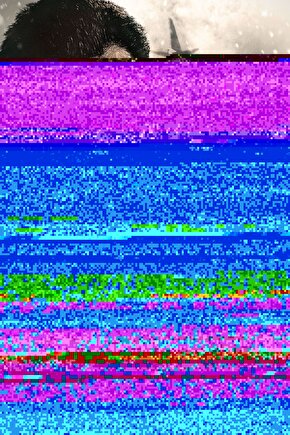 Kadın Kısa Kollu Bisiklet Yaka çiçek Baskılı Süprem Bluz