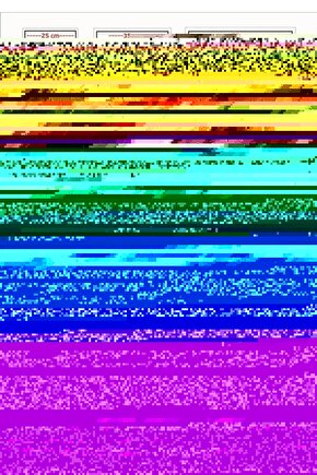 Erkek Hakim Yakalı Kısa Kollu Pamuklu T-shirt