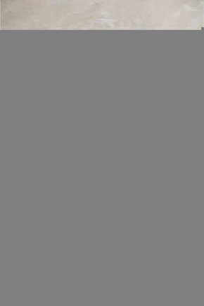 American Gigolo (1980) ( FOLYO ) - AFİŞ - POSTER-1295