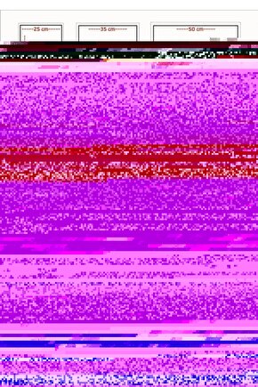 Unisex Bisiklet Yaka Baskılı Oversize T-Shirt - Siyah