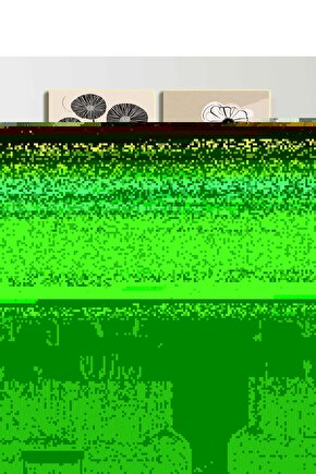 Matisse - Sanat - Soyut - Doğa - Ev - Yaşam ( 2 Li Çerçevesiz ) Poster - Afiş - Tablo NNHT672