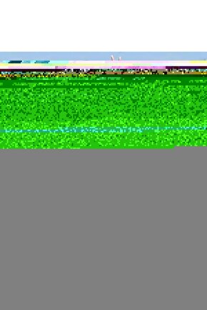 Matisse - Sanat - Soyut - Doğa - Ev - Yaşam ( 2 Li Çerçevesiz ) Poster - Afiş - Tablo NNHT274