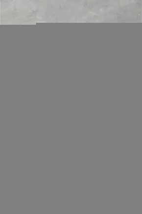 Matisse - Sanat - Soyut - Doğa - Ev - Yaşam ( 2 Li Çerçevesiz ) Poster - Afiş - Tablo NNHT263