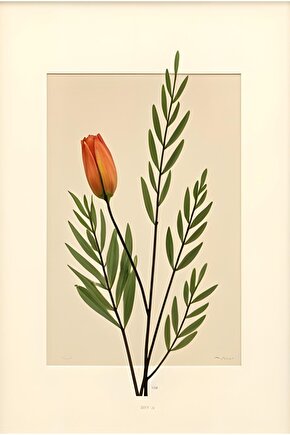 Kışlık Bisiklet Yaka Ön Ve Arka Baskılı weathirt iyah