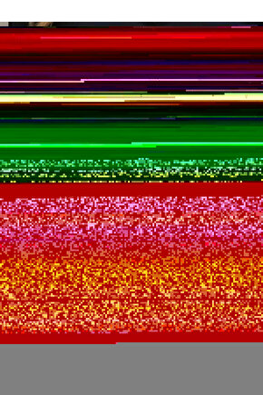 Matisse - Sanat - Soyut - Doğa - Ev - Yaşam ( 2 Li Çerçevesiz ) Poster - Afiş - Tablo NNHT677