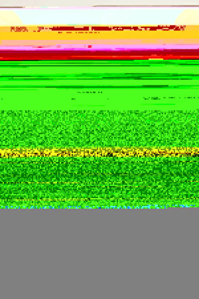 Matisse - Sanat - Soyut - Doğa - Yaşam ( Tekli Çerçevesiz ) Poster - Afiş - Tablo MKKM1624