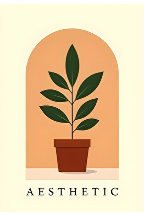 Kadın Yüksek Bel(lastikli) Geniş Paçalı Dalgıç Tayt