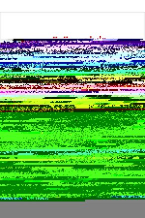 Pembe Çiçekli İç Çamaşır Takımı