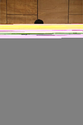 Matisse - Sanat - Soyut - Doğa - Yaşam ( Tekli Çerçevesiz ) Poster - Afiş - Tablo MKKM2689