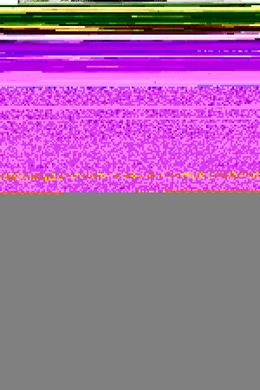 Matisse - Sanat - Soyut - Doğa - Yaşam ( Tekli Çerçevesiz ) Poster - Afiş - Tablo MKKM2377