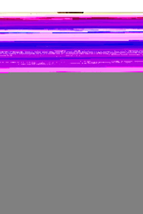 Matisse - Sanat - Soyut - Doğa - Yaşam ( Tekli Çerçevesiz ) Poster - Afiş - Tablo MKKM2496