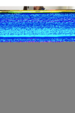 Matisse - Sanat - Soyut - Doğa - Yaşam ( Tekli Çerçevesiz ) Poster - Afiş - Tablo MKKM1184