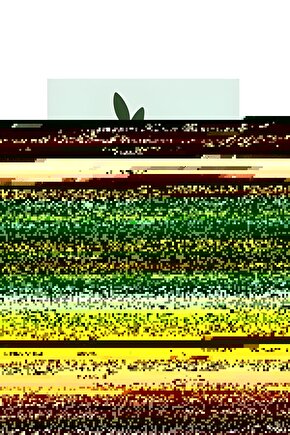 EQURİ Erkek Oversize Dik Yaka Fermuarlı Sweatshirt - Zincir Nakışli Kanguru Cepli - Siyah