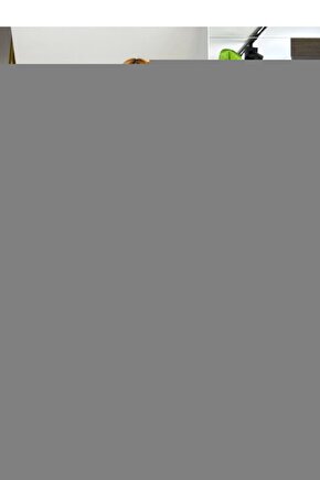 Matisse - Boho - Art Deco - Soyut - Doğa ( 3 lü Çerçevesiz ) Poster - Afiş - Tablo KR2C01135