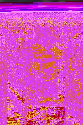 Erkek Kısa Kollu Yakalı Tişört