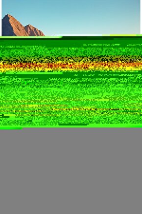 Çocuk Unisex Baskılı T-Shirt - Siyah