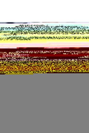 Matisse - Boho - Art Deco - Soyut - Doğa ( 3 lü Çerçevesiz ) Poster - Afiş - Tablo KR2C01171