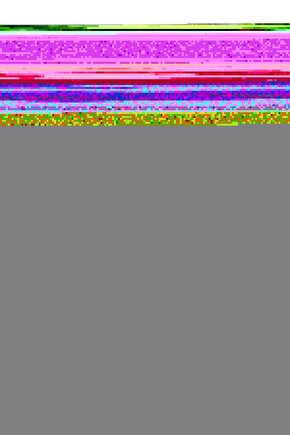 Matisse - Boho - Art Deco - Soyut - Doğa ( 3 lü Çerçevesiz ) Poster - Afiş - Tablo KR2C01110