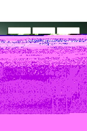 Matisse - Boho - Art Deco - Soyut - Doğa ( 3 lü Çerçevesiz ) Poster - Afiş - Tablo KR2C00645