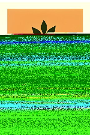 Üç İplik Penye Kapşonlu Basic SweatShirt - Bej