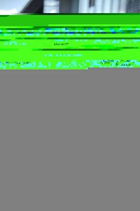 Matisse - Boho - Art Deco - Soyut - Doğa ( 3 lü Çerçevesiz ) Poster - Afiş - Tablo KR2C00254