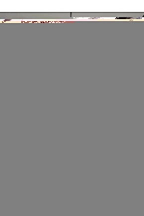 Pc Disney Ordek Donald Vak Vak Saldirisi