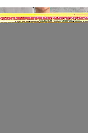 Renault Megan 2 için Dış Kapı Kolu Anahtar Deliği Kapağı Seti Gri