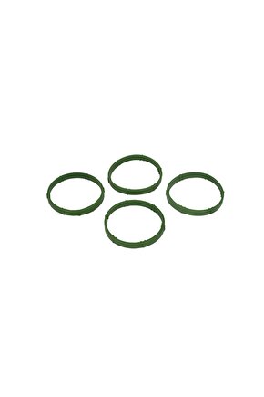 VW Passat, Golf, Bora, Polo için Emme Manifold Conta Seti -DAR-