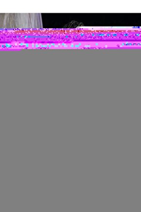 Land Rover LR3, LR4 için Çıta Klips- 10 lu