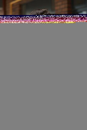 Myrlen Monroe Retro Vintage Ahşap Poster