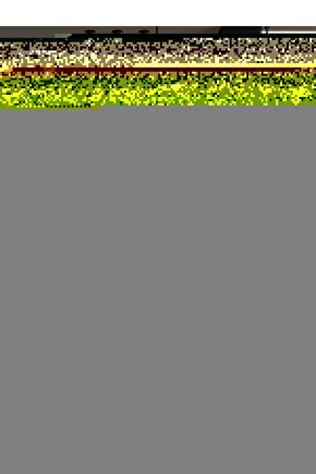 80 H:180 Beyaz Bella 1sabit2sürgülü Duşakabin