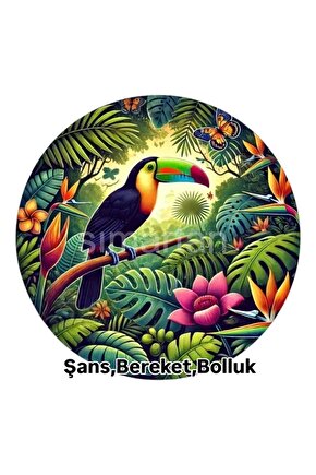 ŞANS GETİRDİĞİNE İNANILAN , UĞURLU TUKAN KUŞU.