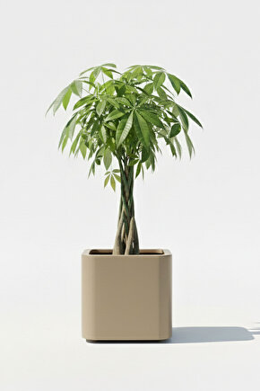 Aura Softbox 30x35cm Fiber Soft-Küp Saksı - Mat - Büyük Saksı - Fiberglass saksı